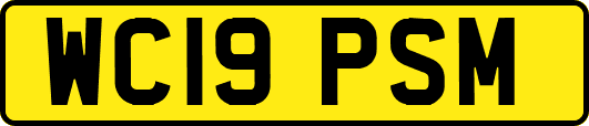 WC19PSM