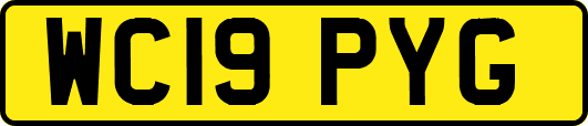 WC19PYG