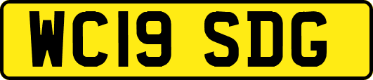 WC19SDG