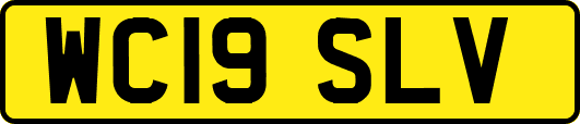 WC19SLV