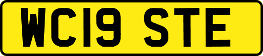WC19STE