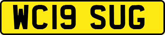 WC19SUG