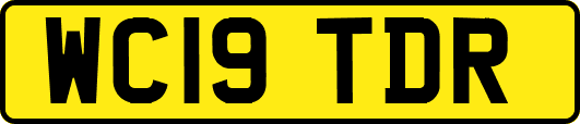 WC19TDR