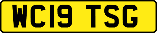 WC19TSG