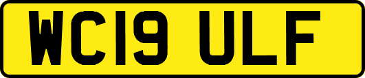 WC19ULF