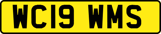 WC19WMS