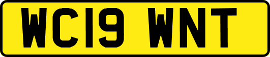 WC19WNT