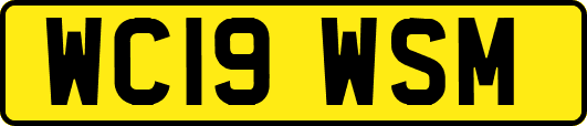 WC19WSM