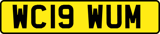 WC19WUM