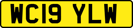 WC19YLW