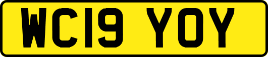 WC19YOY