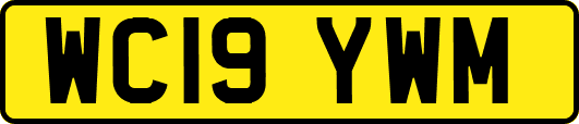 WC19YWM