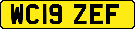 WC19ZEF