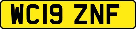 WC19ZNF