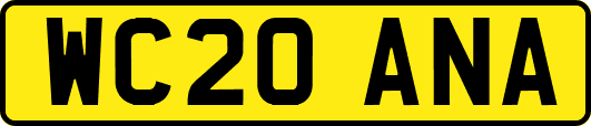 WC20ANA