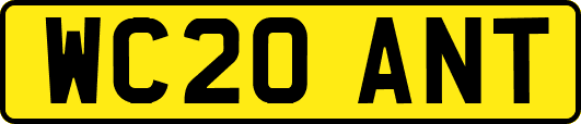 WC20ANT