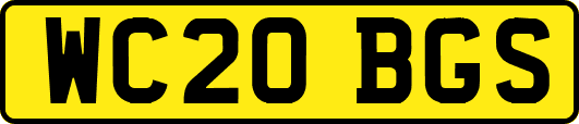 WC20BGS