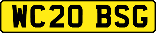WC20BSG