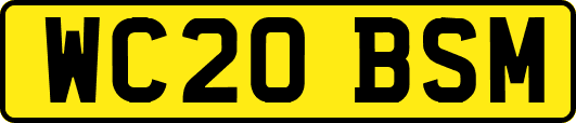 WC20BSM
