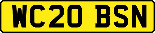 WC20BSN