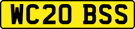 WC20BSS