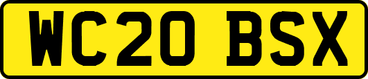 WC20BSX