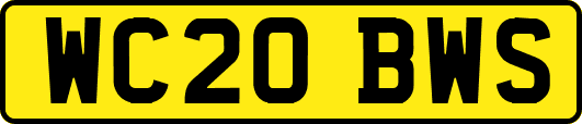 WC20BWS