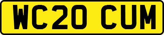 WC20CUM