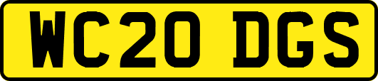 WC20DGS
