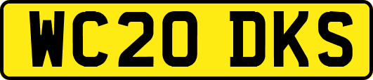 WC20DKS