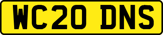 WC20DNS