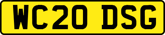 WC20DSG