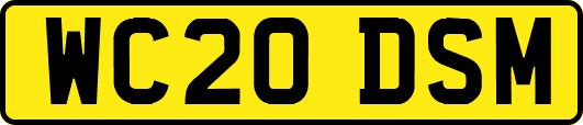 WC20DSM