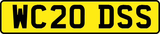 WC20DSS