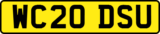 WC20DSU
