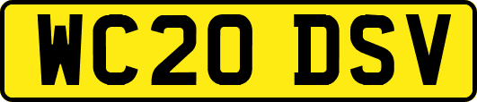 WC20DSV