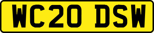WC20DSW