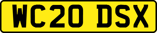 WC20DSX