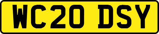 WC20DSY