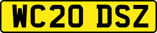 WC20DSZ