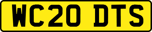 WC20DTS