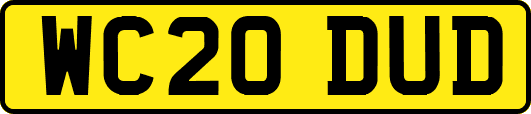 WC20DUD
