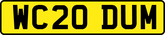 WC20DUM