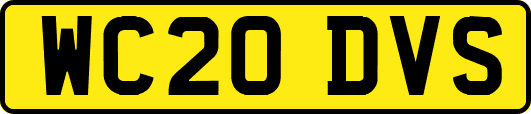 WC20DVS