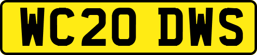 WC20DWS