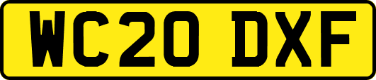 WC20DXF