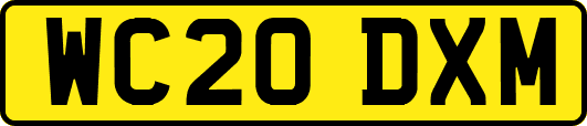 WC20DXM