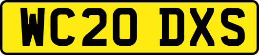 WC20DXS