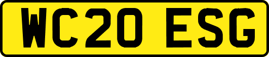 WC20ESG