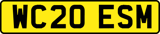 WC20ESM
